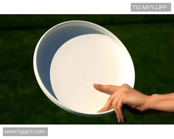 飞盘新手必读：从基础到进阶的全面技巧与战术解析